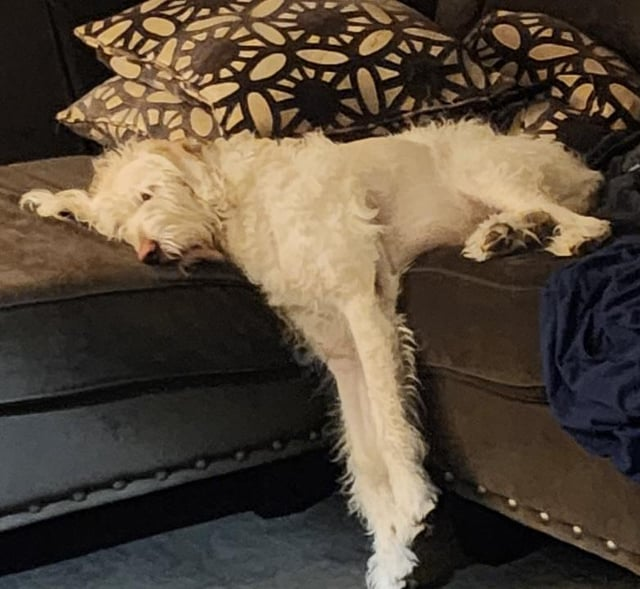 Cheezburger Image 10611450112