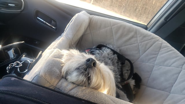 Cheezburger Image 10611450368