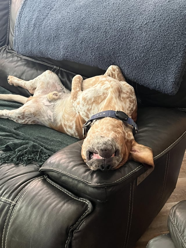 Cheezburger Image 10611450880