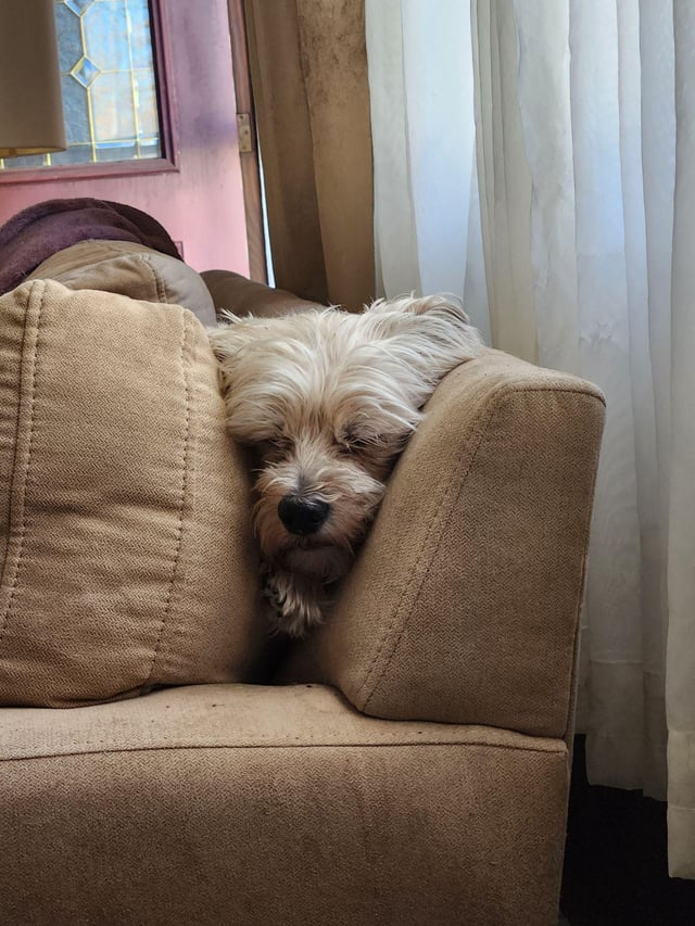 Cheezburger Image 10611451136