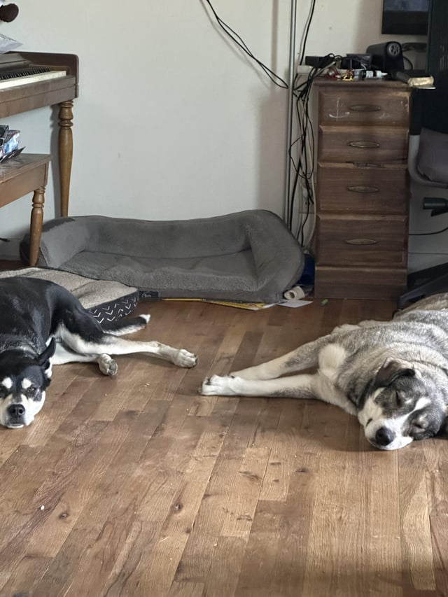 Cheezburger Image 10611451392