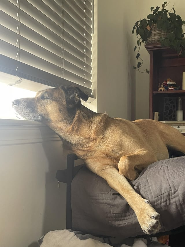 Cheezburger Image 10611452416