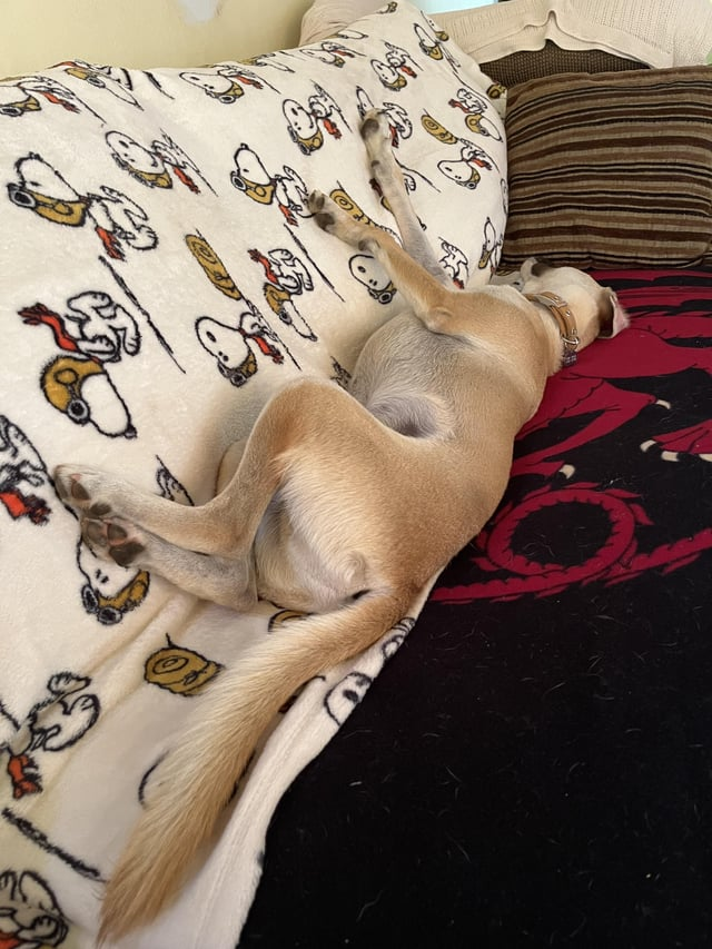 Cheezburger Image 10611452672