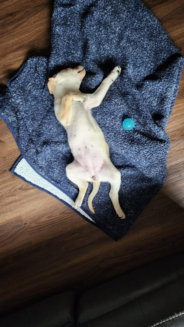 Cheezburger Image 10611452928