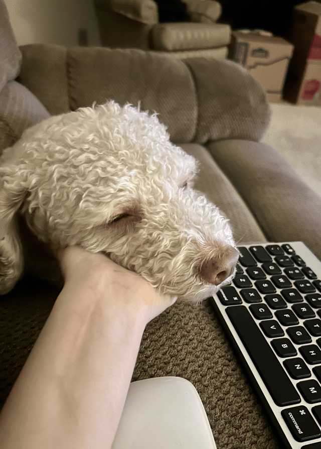 T R G H D F C v B N Σ H command