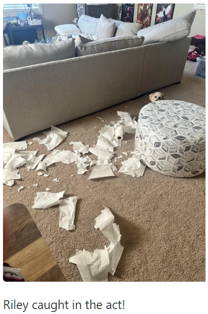 Riley caught in the act!