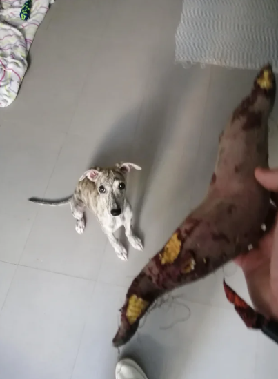 Cheezburger Image 10611456512