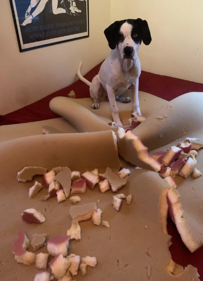 MORE RISQUE THAN ANTING YOU'VE EVER SEEN BEFORE