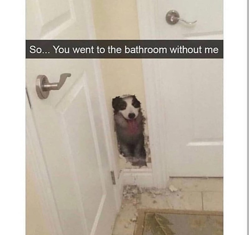 So... You went to the bathroom without me