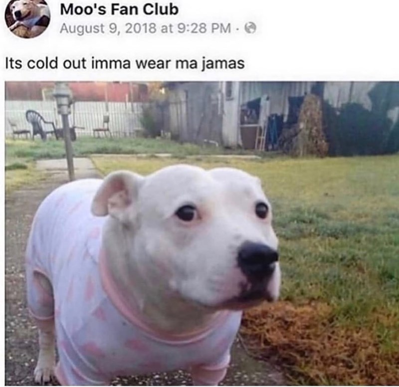 Moo's Fan Club August 9, 2018 at 9:28 PM - Its cold out imma wear ma jamas