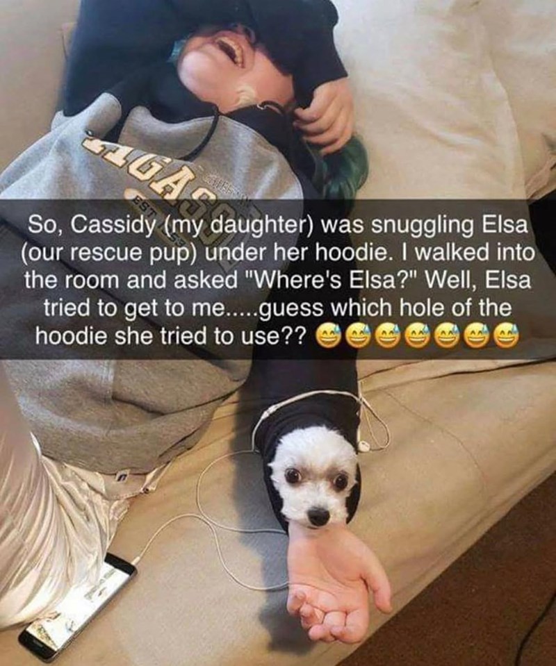 GAR EST AN So, Cassidy (my daughter) was snuggling Elsa (our rescue pup) under her hoodie. I walked into the room and asked "Where's Elsa?" Well, Elsa tried to get to me.....guess which hole of the hoodie she tried to use??