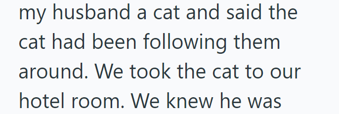 my husband a cat and said the cat had been following them around. We took the cat to our hotel room. We knew he was