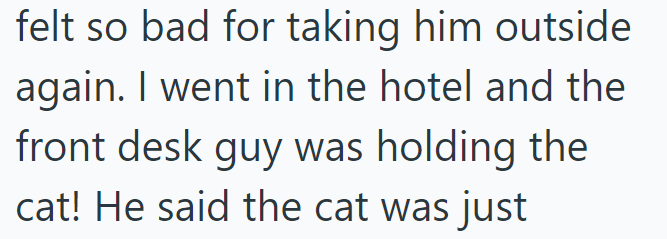 felt so bad for taking him outside again. I went in the hotel and the front desk guy was holding the cat! He said the cat was just