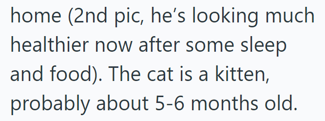 home (2nd pic, he's looking much healthier now after some sleep and food). The cat is a kitten, probably about 5-6 months old.