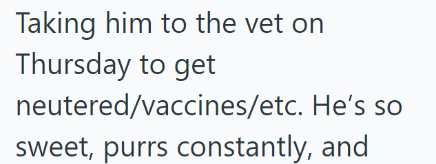 Taking him to the vet on Thursday to get neutered/vaccines/etc. He's so sweet, purrs constantly, and