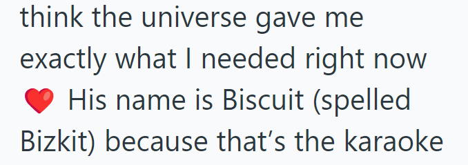 think the universe gave me exactly what I needed right now His name is Biscuit (spelled Bizkit) because that's the karaoke