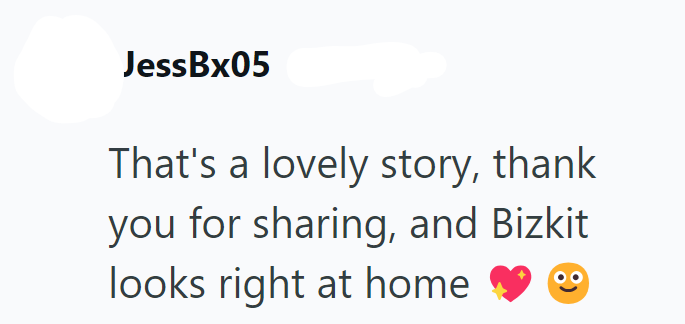 JessBx05 That's a lovely story, thank you for sharing, and Bizkit looks right at home ☺