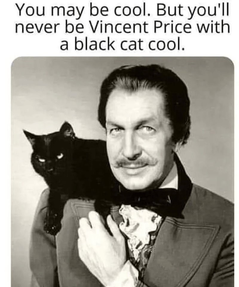You may be cool. But you'll never be Vincent Price with a black cat cool.