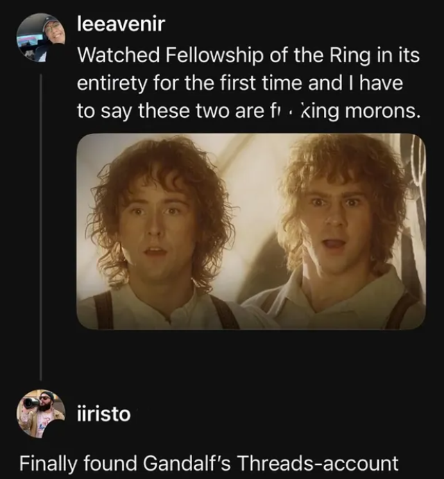 leeavenir Watched Fellowship of the Ring in its entirety for the first time and I have to say these two are fi · king morons. iiristo Finally found Gandalf's Threads-account