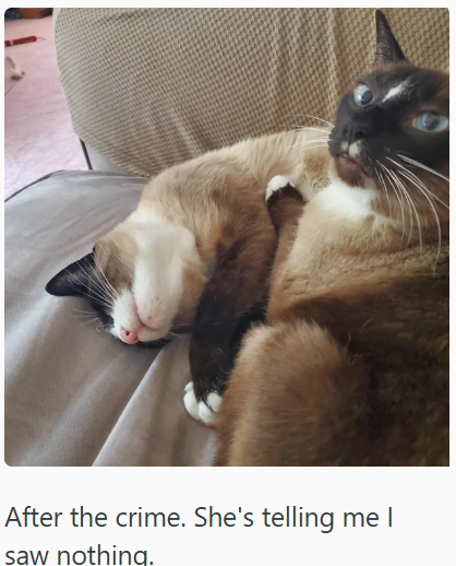 After the crime. She's telling me I saw nothing.