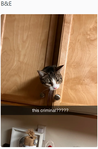 B&E this criminal?????