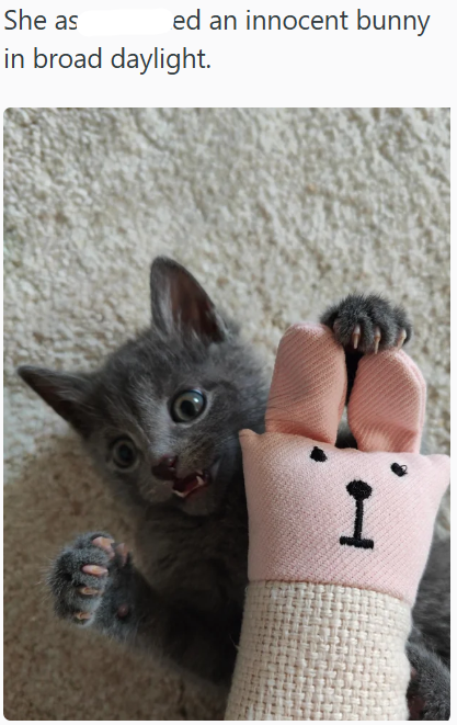 She as ed an innocent bunny in broad daylight. I