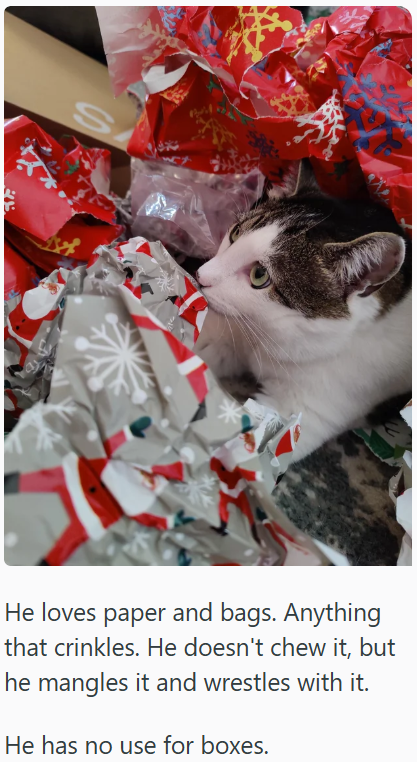 S とら He loves paper and bags. Anything that crinkles. He doesn't chew it, but he mangles it and wrestles with it. He has no use for boxes.