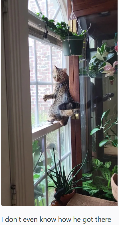 I don't even know how he got there