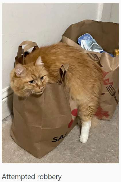 SA Attempted robbery