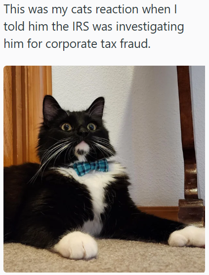 This was my cats reaction when I told him the IRS was investigating him for corporate tax fraud.