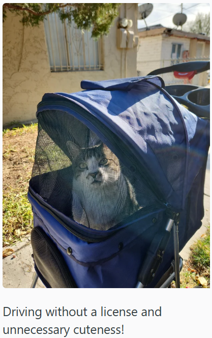 Driving without a license and unnecessary cuteness!