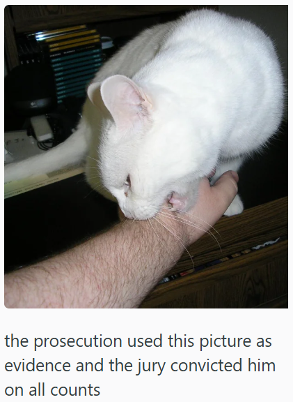 the prosecution used this picture as evidence and the jury convicted him on all counts