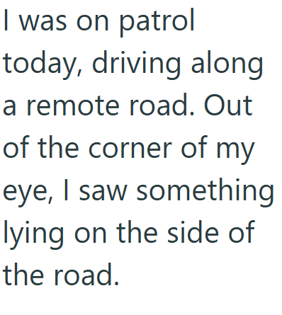 I was on patrol today, driving along a remote road. Out of the corner of my eye, I saw something lying on the side of the road.