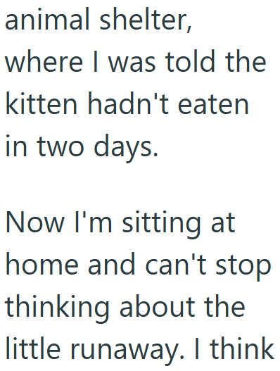 animal shelter, where I was told the kitten hadn't eaten in two days. Now I'm sitting at home and can't stop thinking about the little runaway. I think
