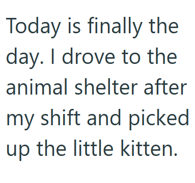 Today is finally the day. I drove to the animal shelter after my shift and picked up the little kitten.