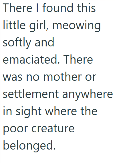 There I found this little girl, meowing softly and emaciated. There was no mother or settlement anywhere in sight where the poor creature belonged.