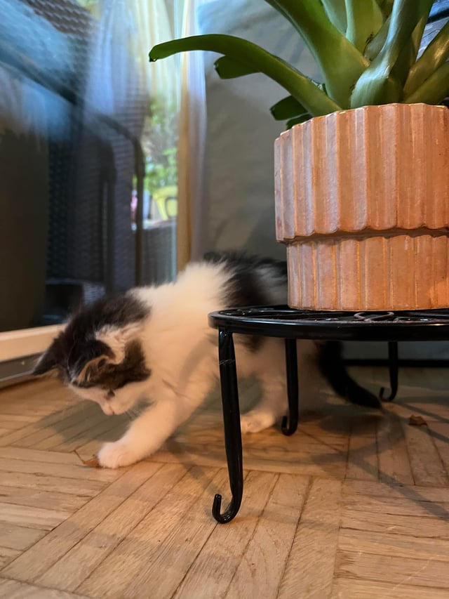 Cheezburger Image 10611501056