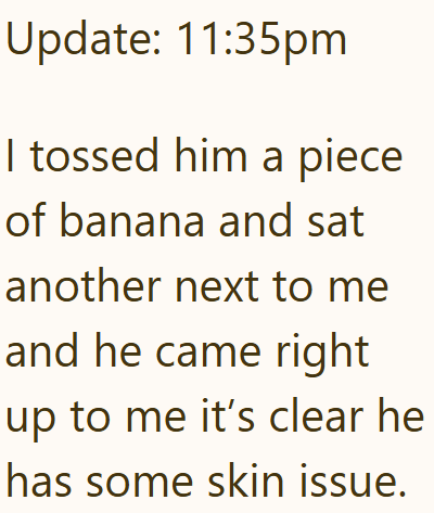 Update: 11:35pm I tossed him a piece of banana and sat another next to me and he came right up to me it's clear he has some skin issue.