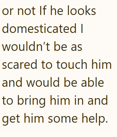 or not If he looks domesticated I wouldn't be as scared to touch him and would be able to bring him in and get him some help.