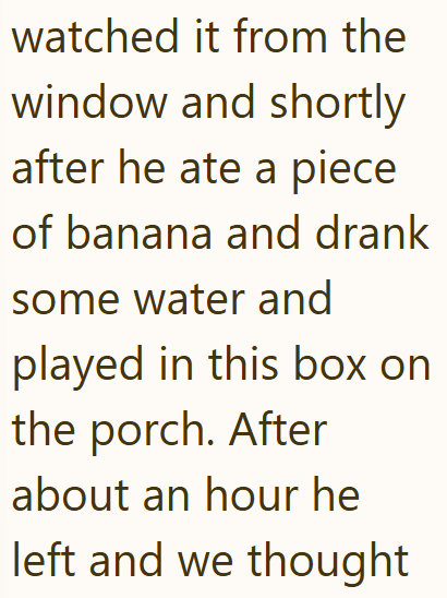 watched it from the window and shortly after he ate a piece of banana and drank some water and played in this box on the porch. After about an hour he left and we thought