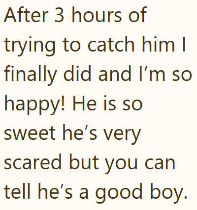 After 3 hours of trying to catch him I finally did and I'm so happy! He is so sweet he's very scared but you can tell he's a good boy.