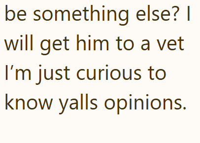 be something else? | will get him to a vet I'm just curious to know yalls opinions.