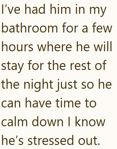 I've had him in my bathroom for a few hours where he will stay for the rest of the night just so he can have time to calm down I know he's stressed out.