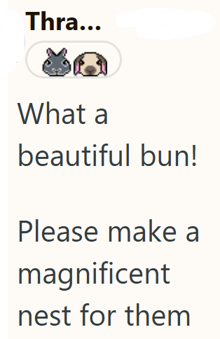 Thra... What a beautiful bun! Please make a magnificent nest for them