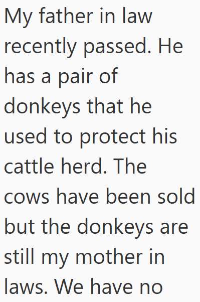 Cheezburger Image 10611507712