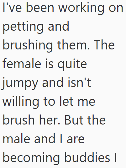 Cheezburger Image 10611507968