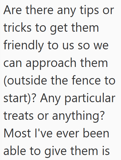 Cheezburger Image 10611508736