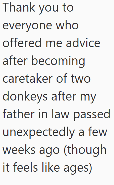 Cheezburger Image 10611508992