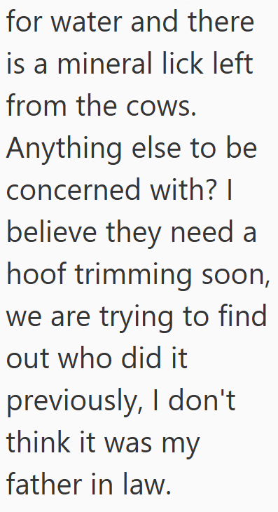 Cheezburger Image 10611509504