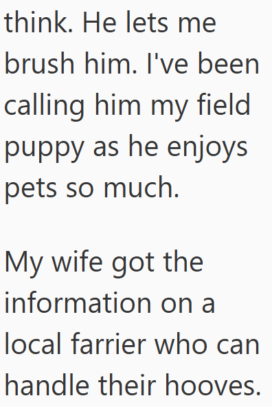 Cheezburger Image 10611509760